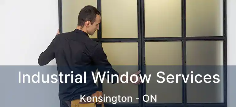  Industrial Window Services Kensington - ON