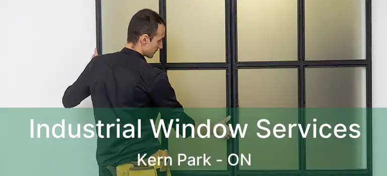  Industrial Window Services Kern Park - ON