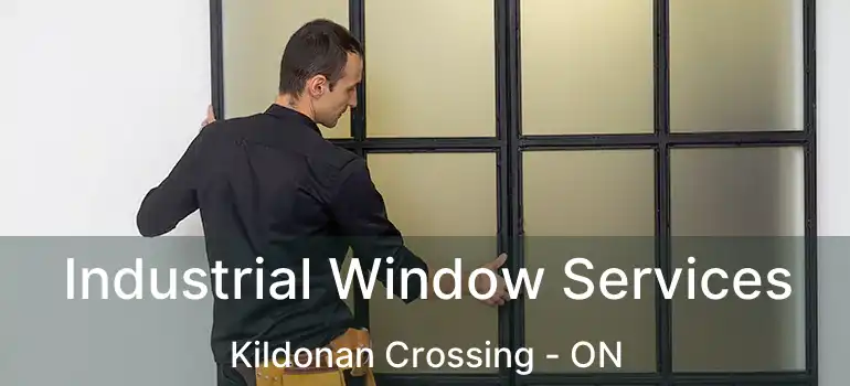  Industrial Window Services Kildonan Crossing - ON
