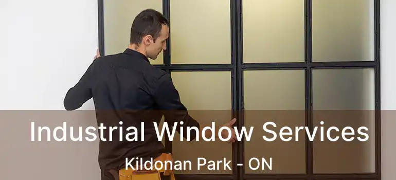  Industrial Window Services Kildonan Park - ON