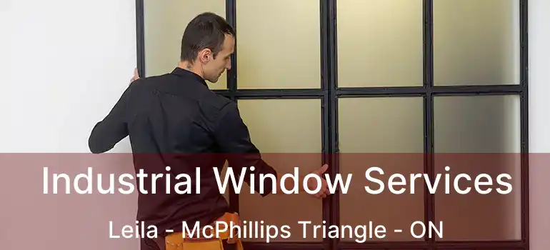  Industrial Window Services Leila - McPhillips Triangle - ON
