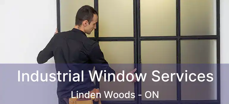  Industrial Window Services Linden Woods - ON