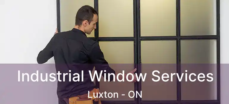  Industrial Window Services Luxton - ON