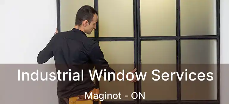  Industrial Window Services Maginot - ON