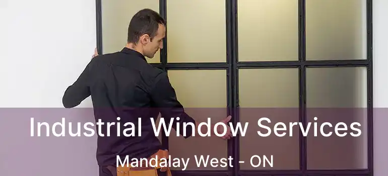  Industrial Window Services Mandalay West - ON