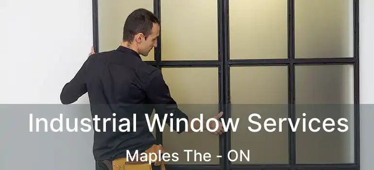  Industrial Window Services Maples The - ON