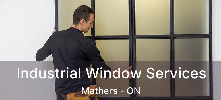  Industrial Window Services Mathers - ON