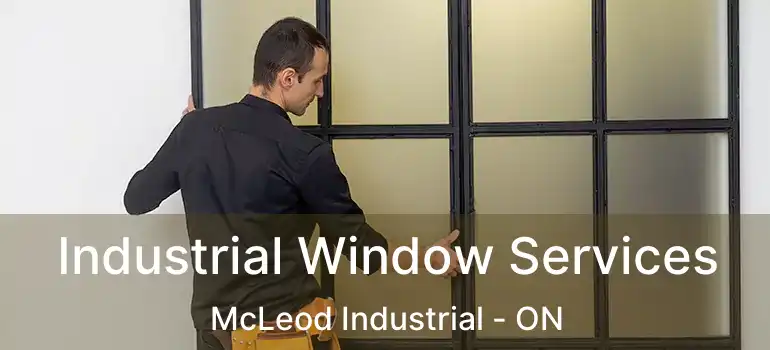  Industrial Window Services McLeod Industrial - ON
