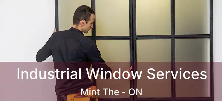  Industrial Window Services Mint The - ON