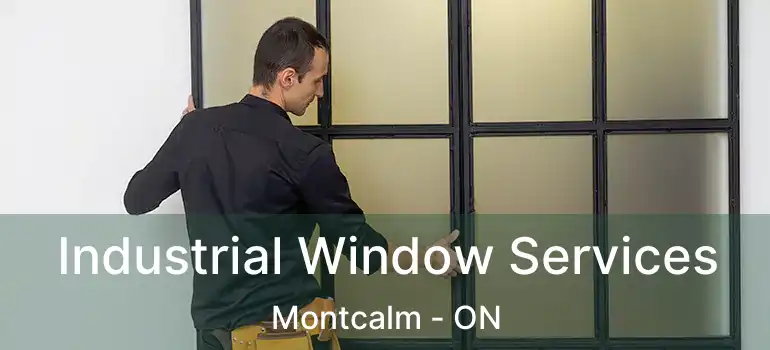  Industrial Window Services Montcalm - ON