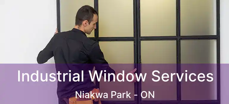  Industrial Window Services Niakwa Park - ON