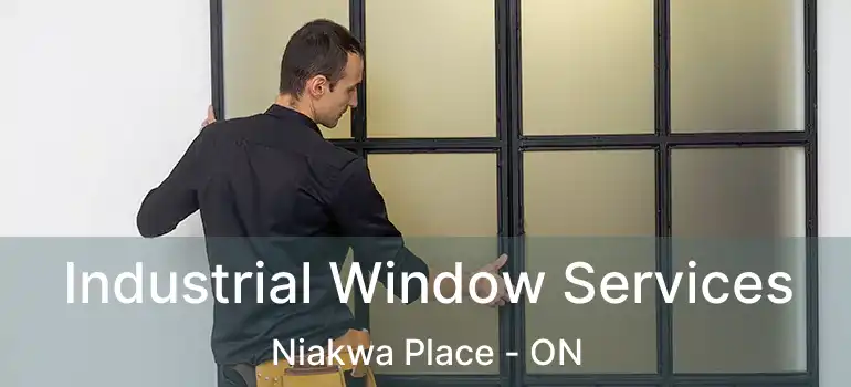  Industrial Window Services Niakwa Place - ON