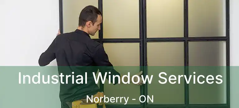  Industrial Window Services Norberry - ON