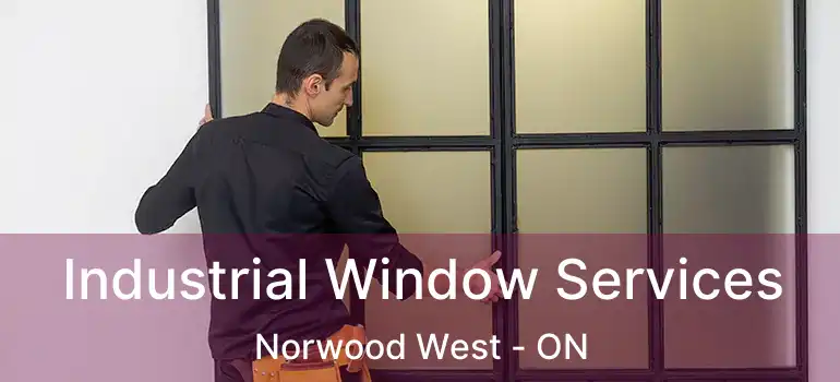  Industrial Window Services Norwood West - ON