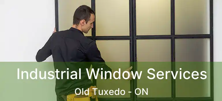  Industrial Window Services Old Tuxedo - ON