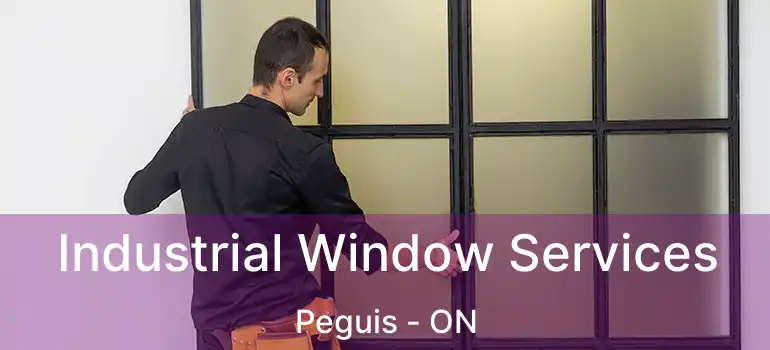  Industrial Window Services Peguis - ON