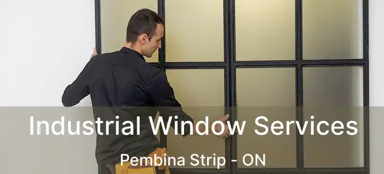  Industrial Window Services Pembina Strip - ON