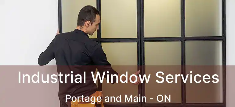  Industrial Window Services Portage and Main - ON