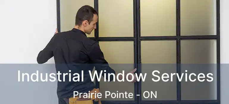  Industrial Window Services Prairie Pointe - ON