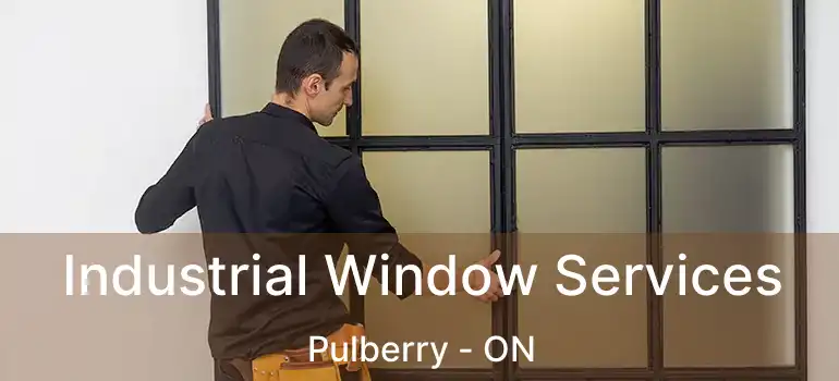  Industrial Window Services Pulberry - ON