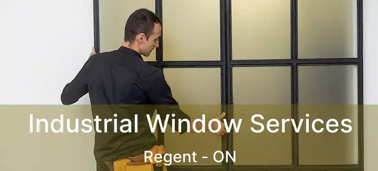  Industrial Window Services Regent - ON
