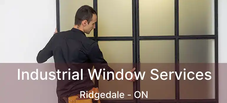  Industrial Window Services Ridgedale - ON
