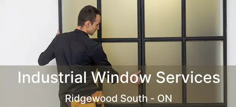  Industrial Window Services Ridgewood South - ON
