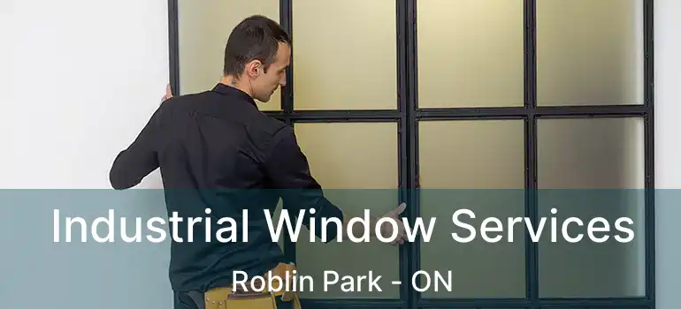  Industrial Window Services Roblin Park - ON