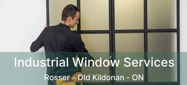  Industrial Window Services Rosser - Old Kildonan - ON