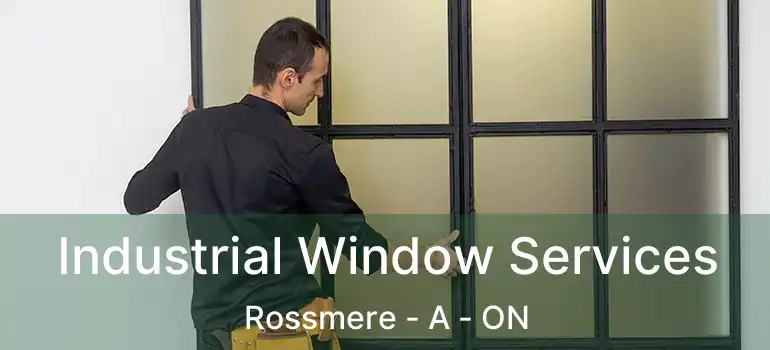  Industrial Window Services Rossmere - A - ON