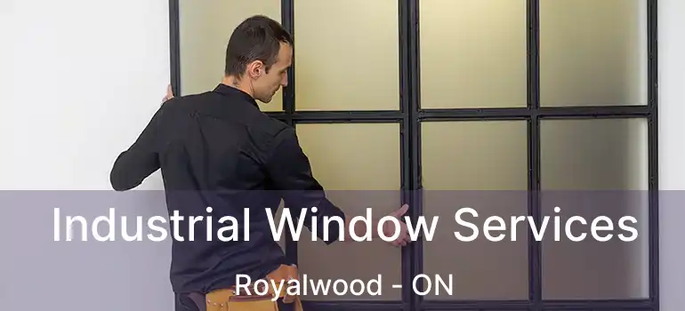  Industrial Window Services Royalwood - ON