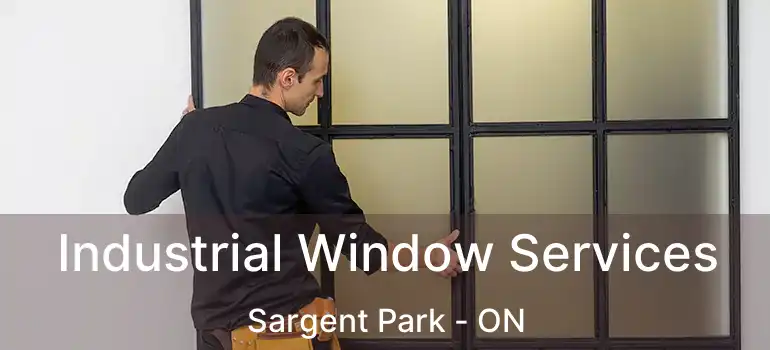  Industrial Window Services Sargent Park - ON