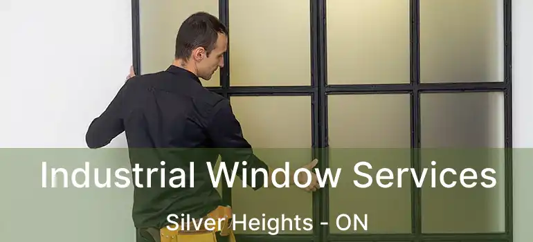  Industrial Window Services Silver Heights - ON