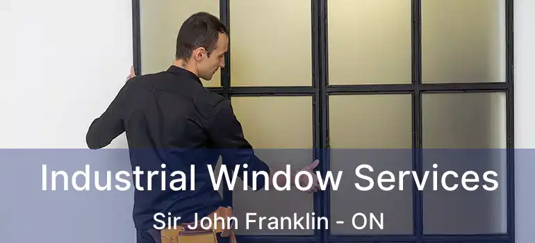  Industrial Window Services Sir John Franklin - ON
