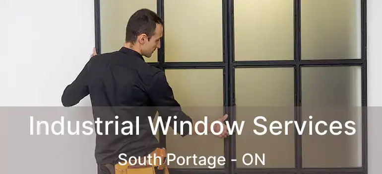  Industrial Window Services South Portage - ON