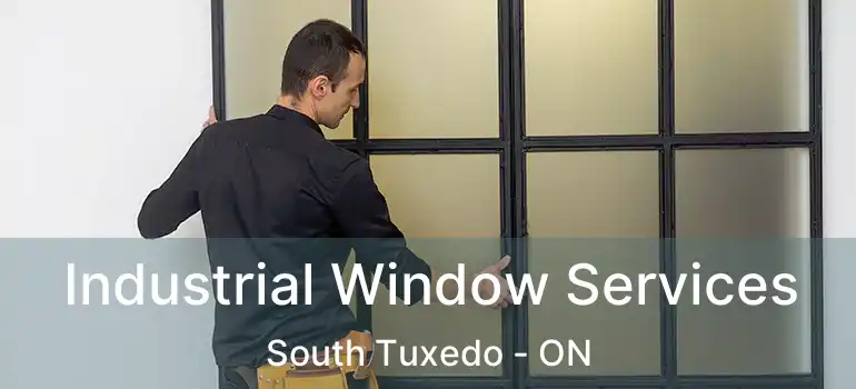 Industrial Window Services South Tuxedo - ON