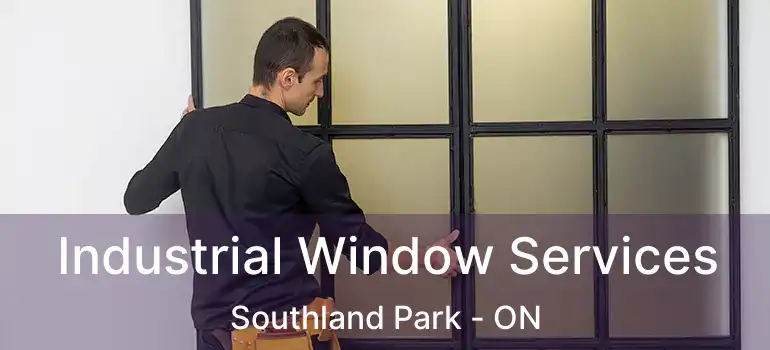  Industrial Window Services Southland Park - ON