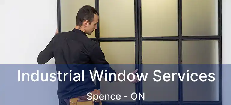  Industrial Window Services Spence - ON