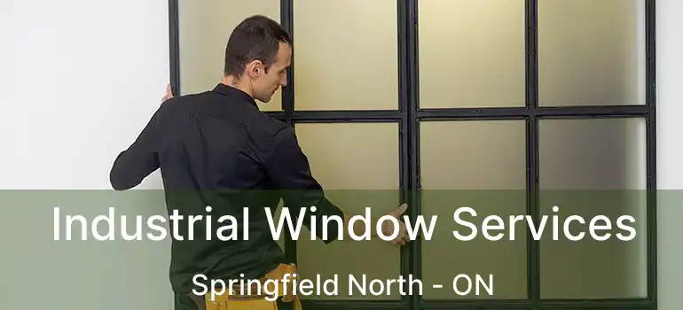  Industrial Window Services Springfield North - ON