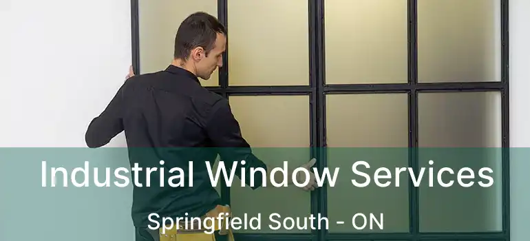  Industrial Window Services Springfield South - ON