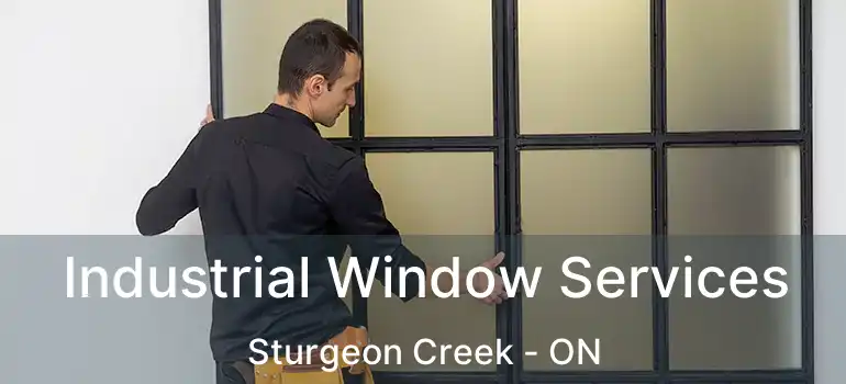  Industrial Window Services Sturgeon Creek - ON
