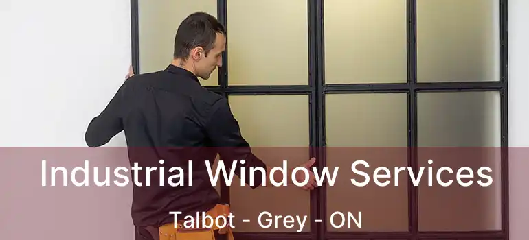  Industrial Window Services Talbot - Grey - ON