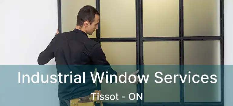  Industrial Window Services Tissot - ON