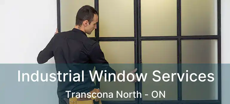  Industrial Window Services Transcona North - ON