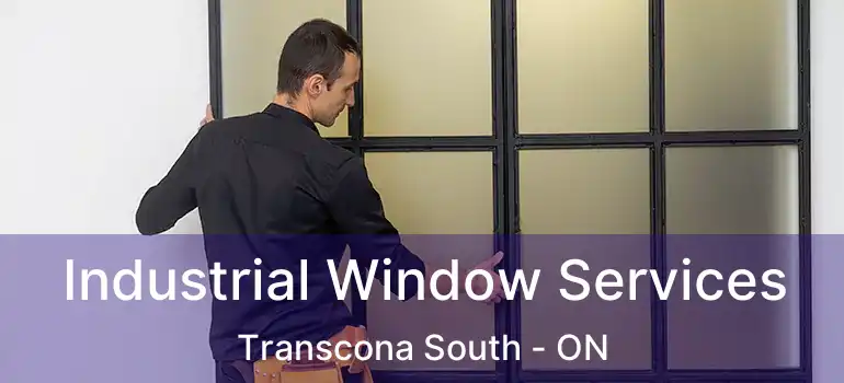  Industrial Window Services Transcona South - ON