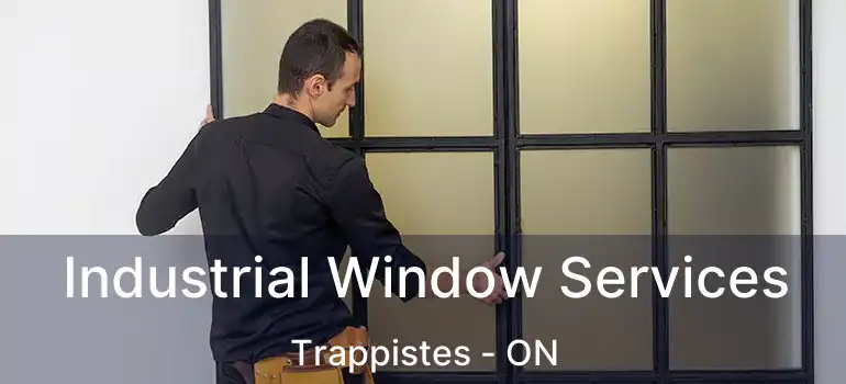  Industrial Window Services Trappistes - ON