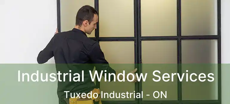  Industrial Window Services Tuxedo Industrial - ON