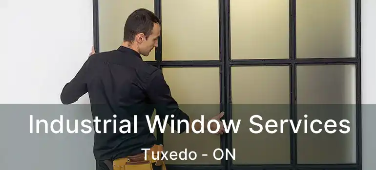  Industrial Window Services Tuxedo - ON