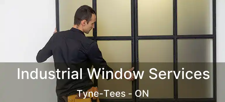  Industrial Window Services Tyne-Tees - ON