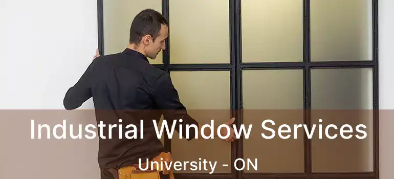  Industrial Window Services University - ON